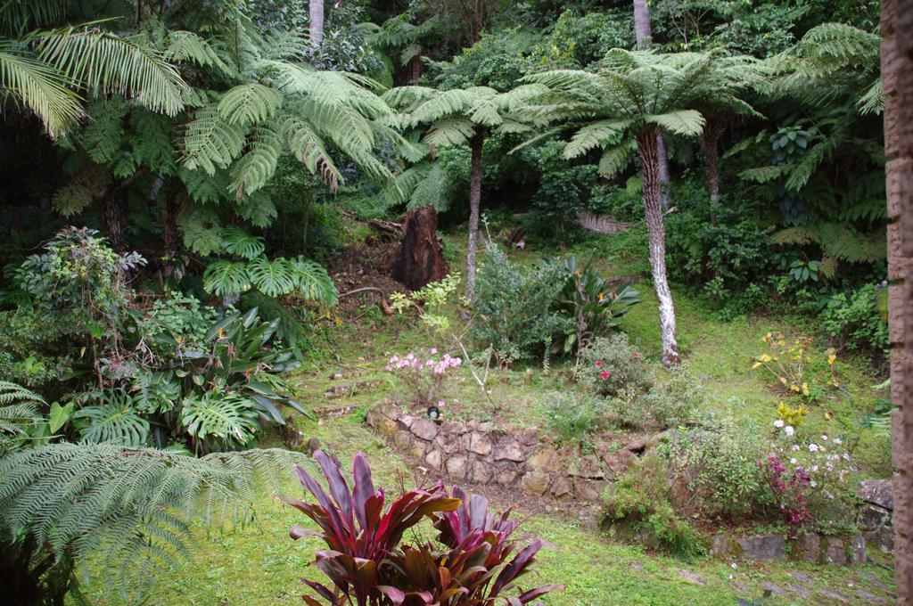 Marcel Towers Holiday Apartments Nambucca Heads Extérieur photo